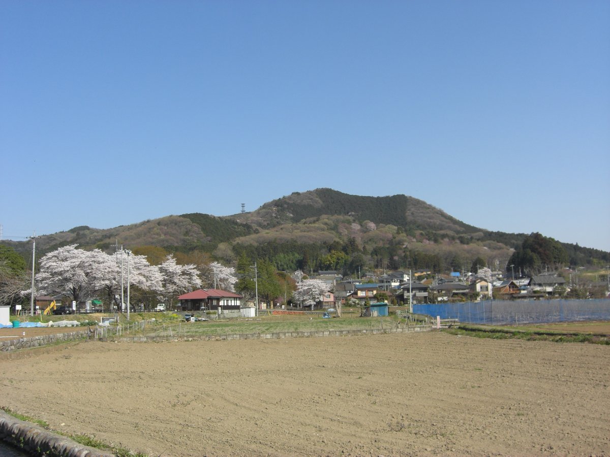 春の日和田山全景