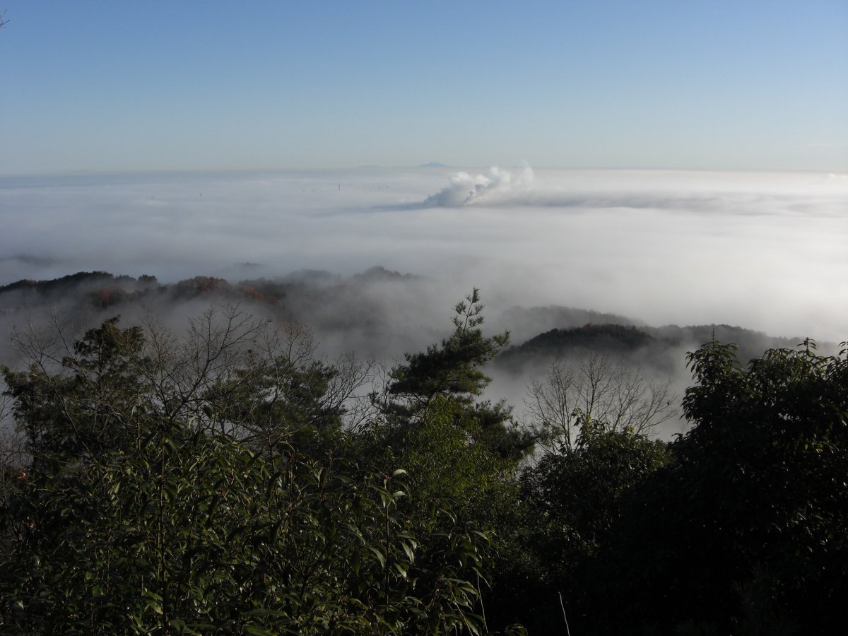 日和田山頂上からの雲海