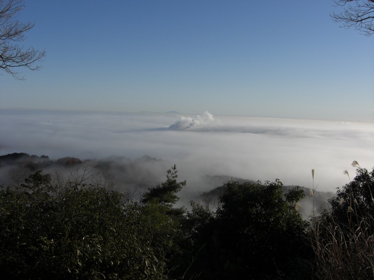 日和田山頂上からの雲海