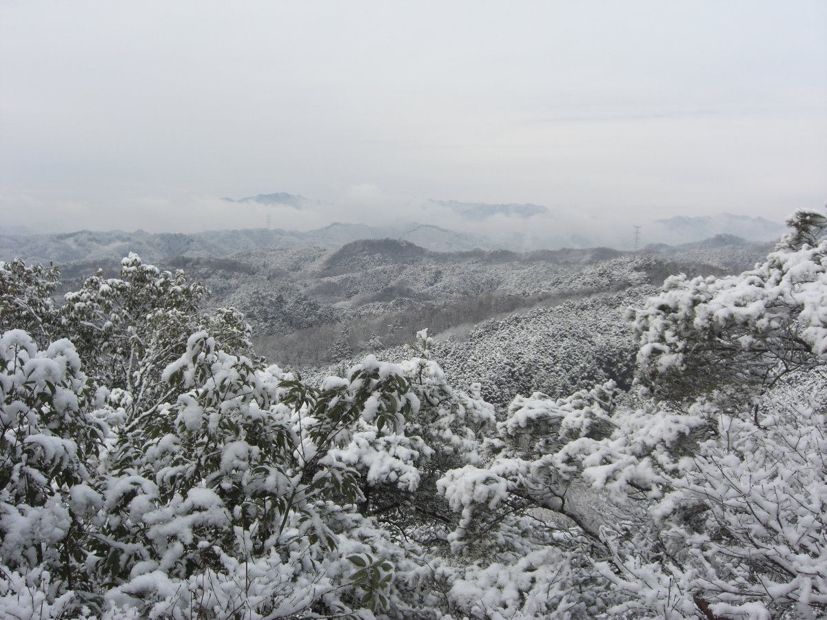 金毘羅神社前雪景色