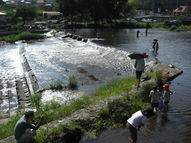 高麗川の川遊び