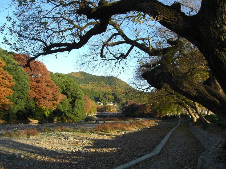 秋の高麗川