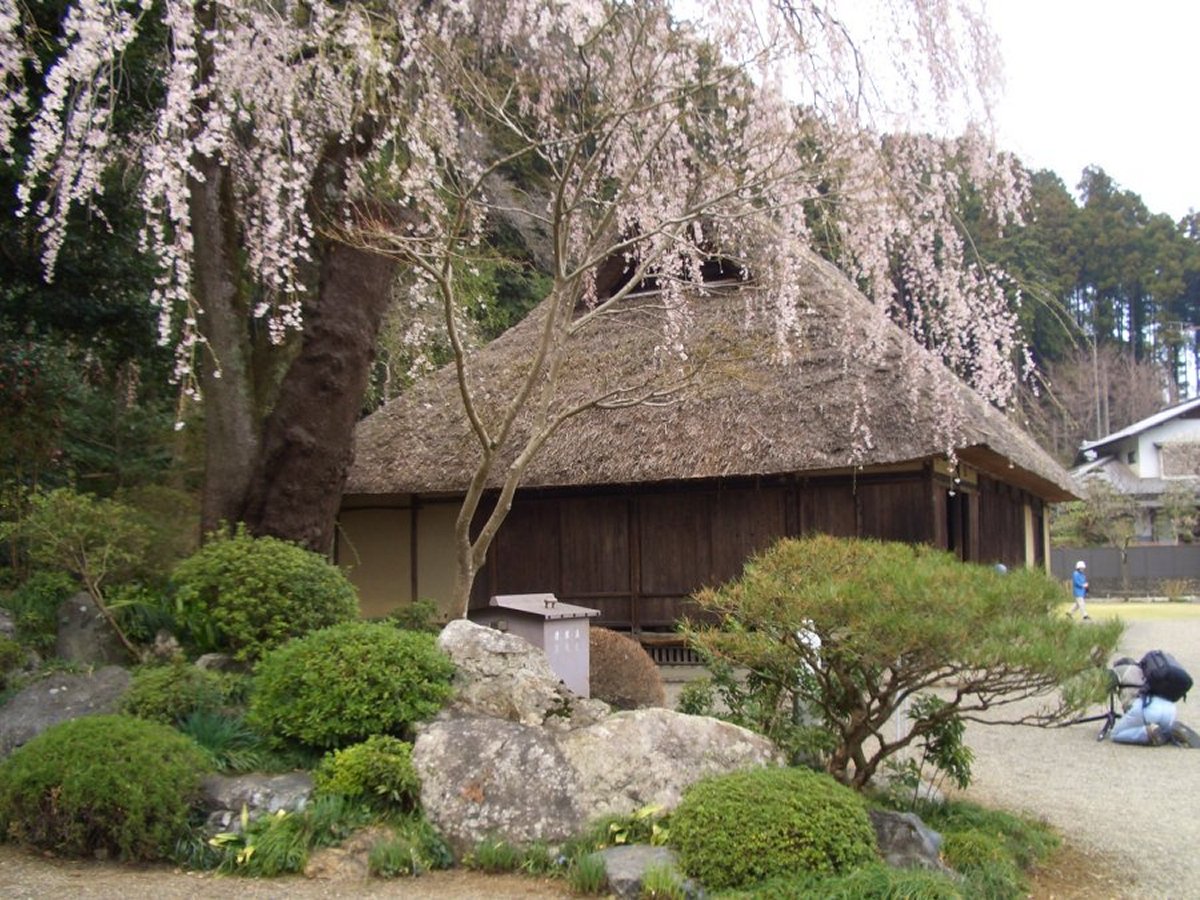枝垂桜と高麗家住宅