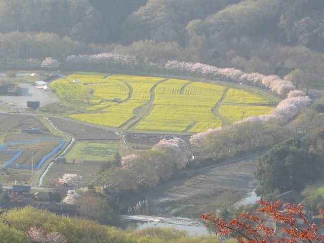 日和田山金毘羅神社前風景