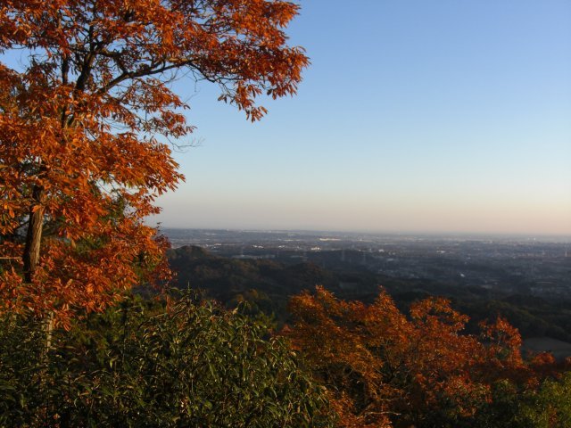 秋の日和田山