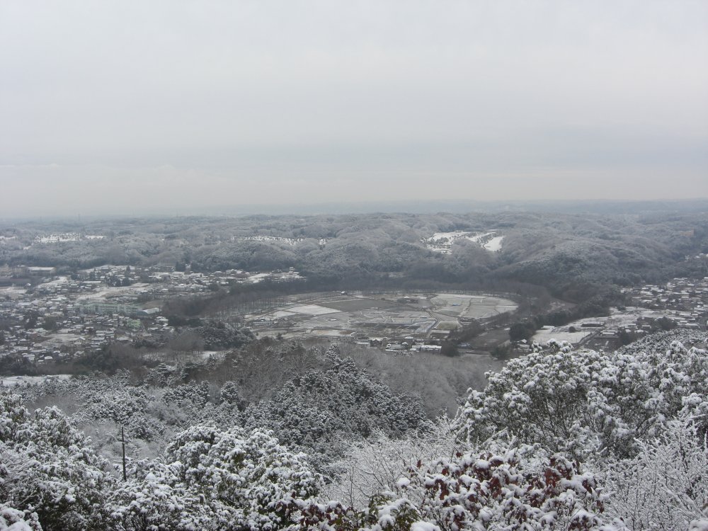 日和田山の雪景色